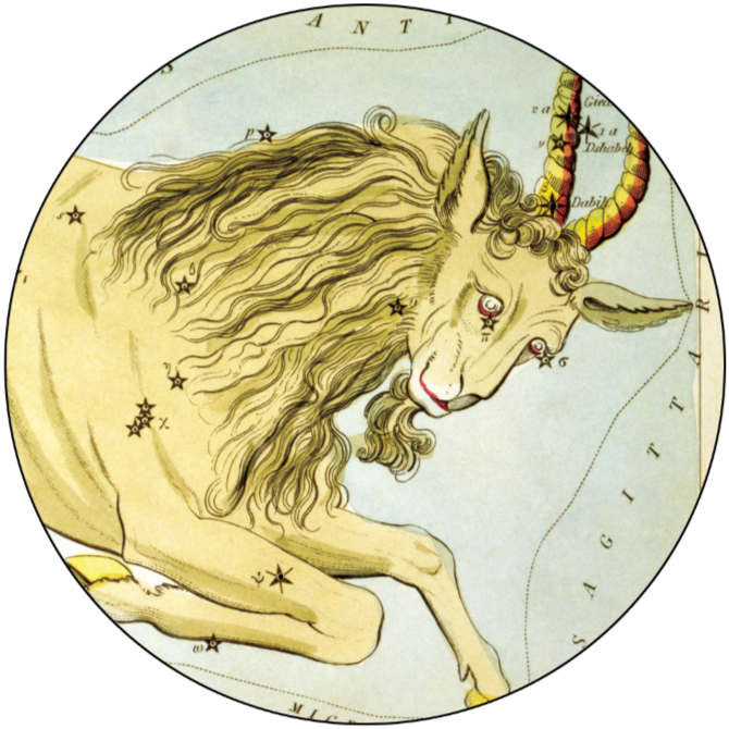 Steinbock