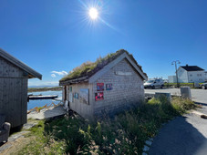 IMG_4018.jpeg