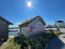 IMG_4018.jpeg