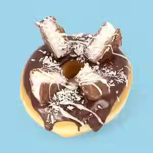 Mr. Coco Donut
