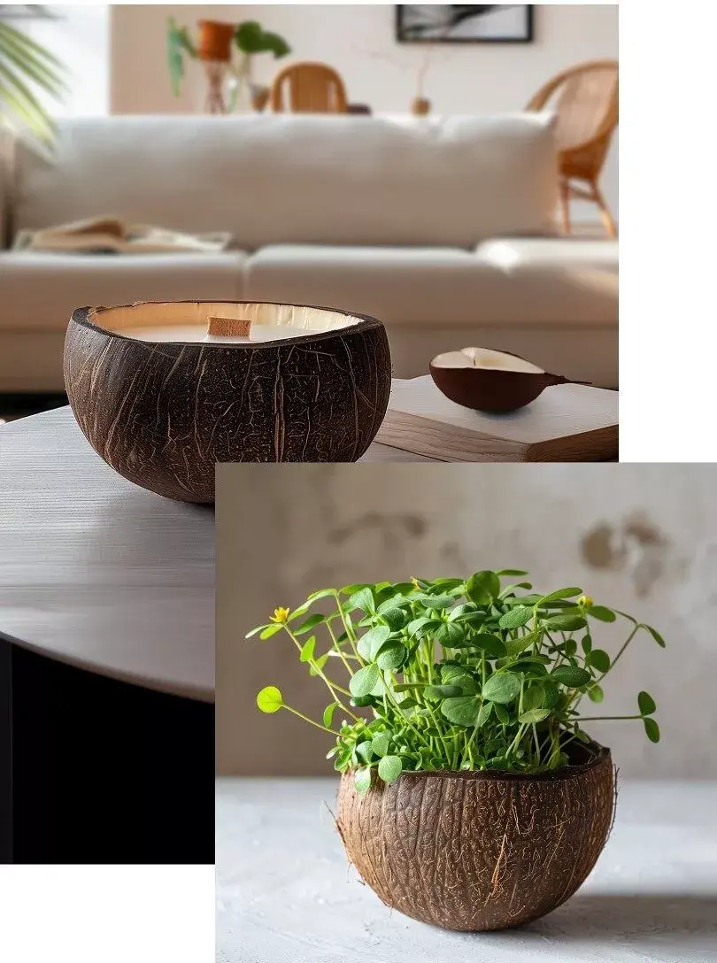 Miniature : Bougie qui devient plante - Vanille - 350g