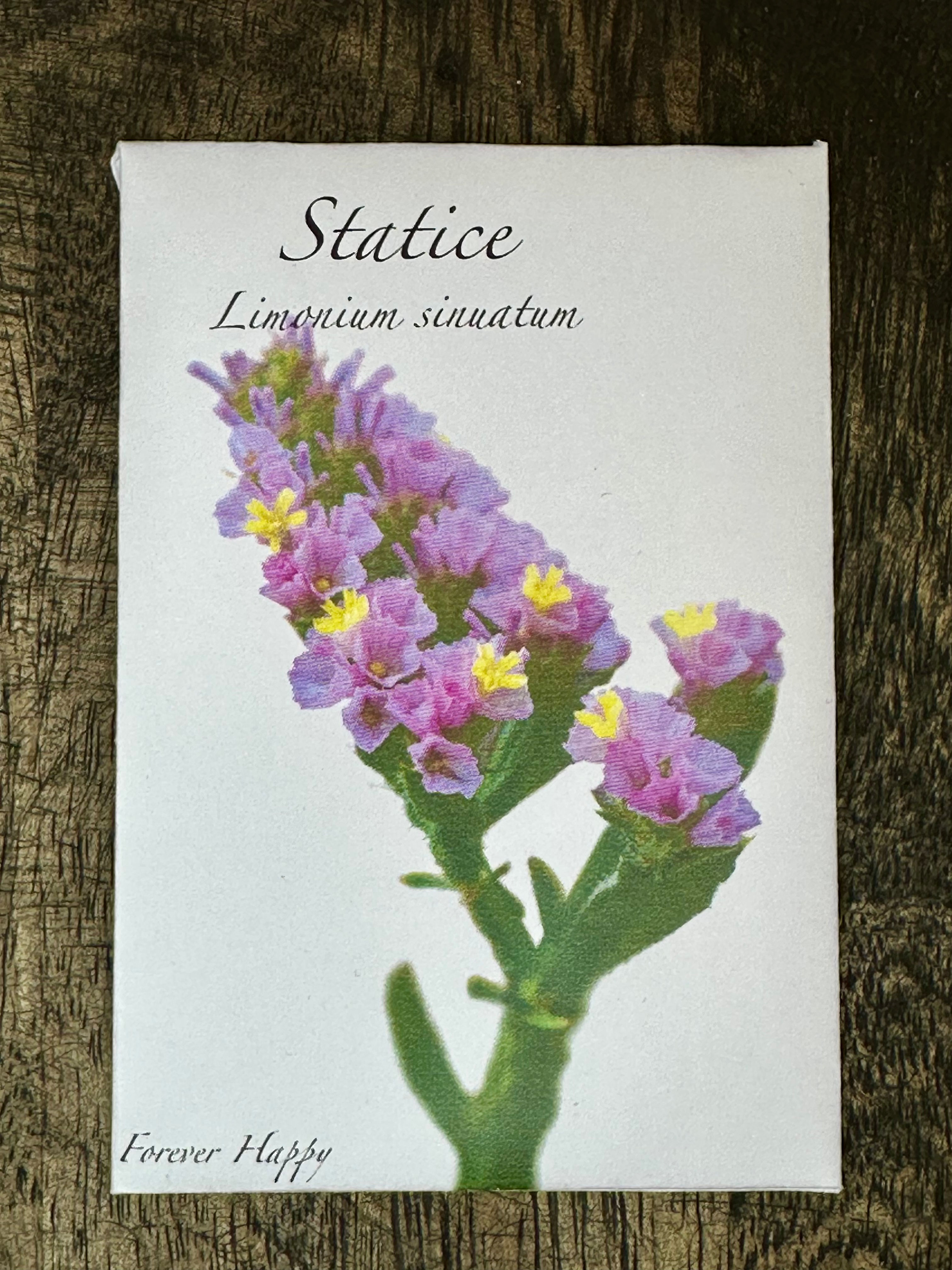 Statice. Limonium sinuatum. Forever happy.