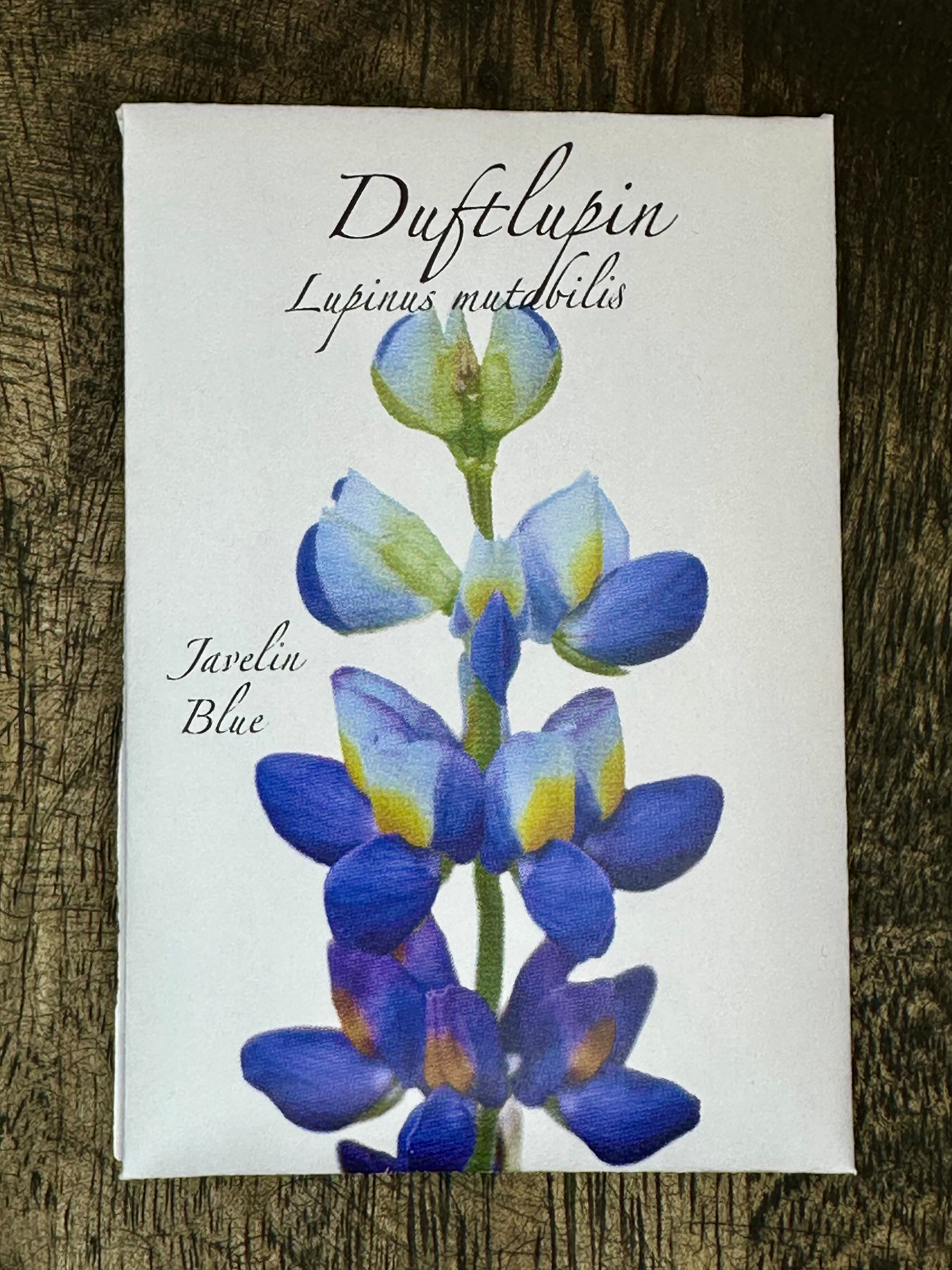 Duftlupin. Lupinus mutabilis. Javelin Blue