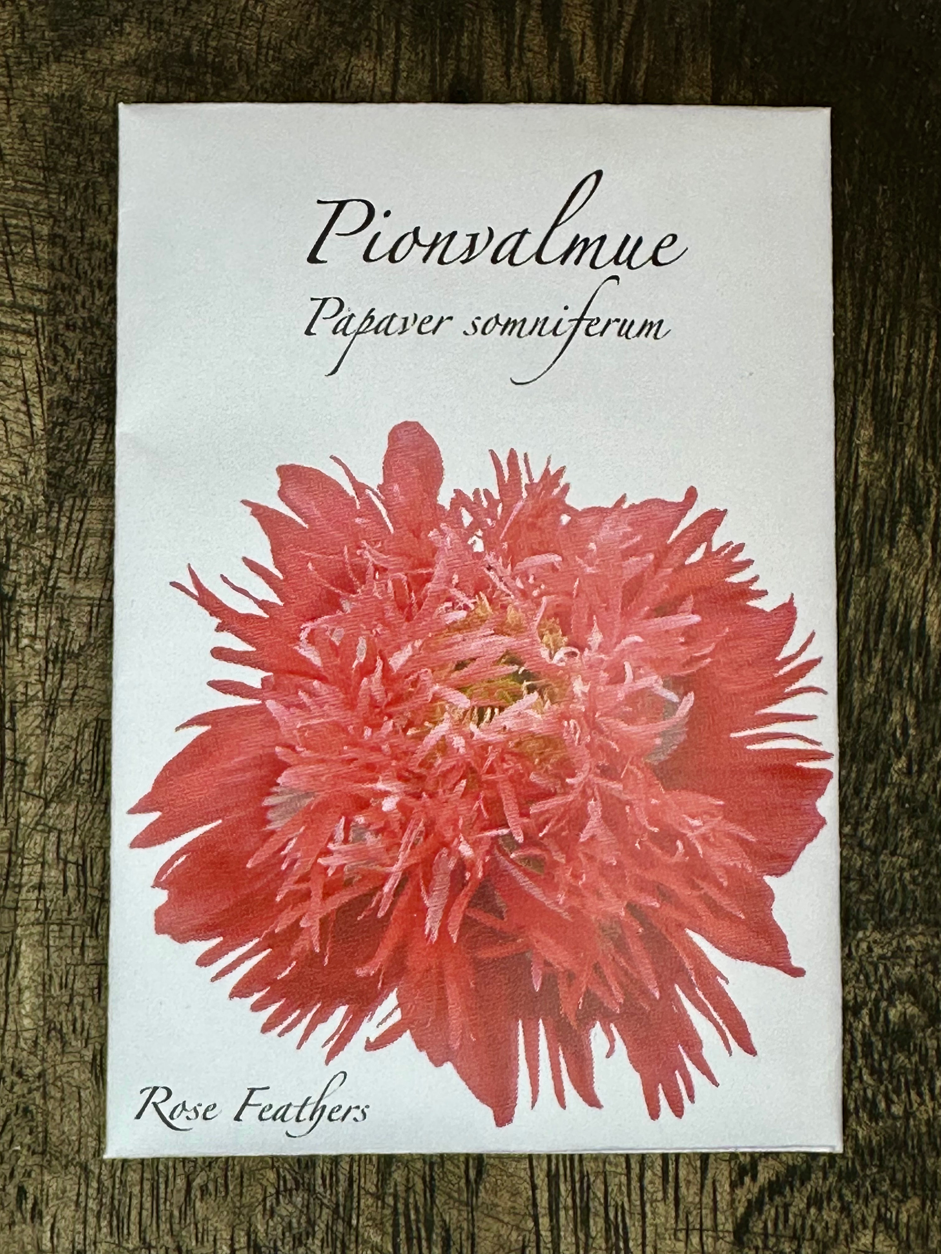 Pionvalmue. Papaver somniferum. Rose Feathers.