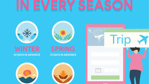  How to find affordable tickets for your trips.
