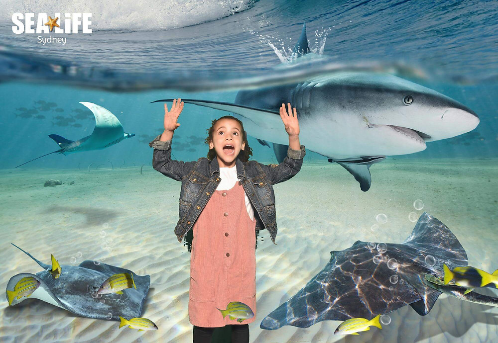 12 Amazing Virtual Aquariums and Zoos To Visit With Kids