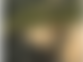 At the Great Wall 长城