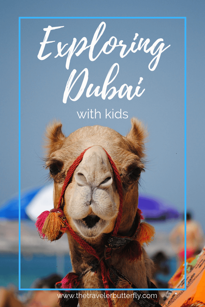 exploring dubai