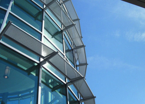 Glass Fins.jpg