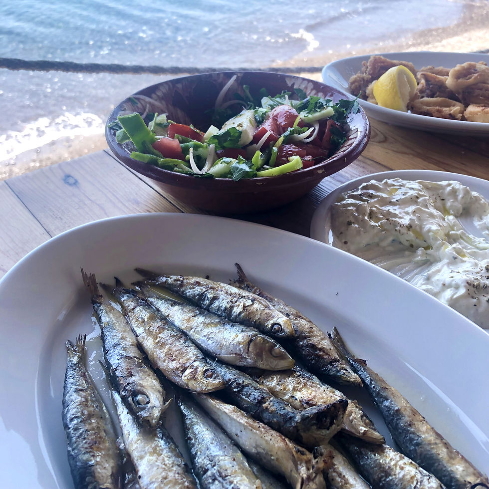 Sardines (Blue Sardine)