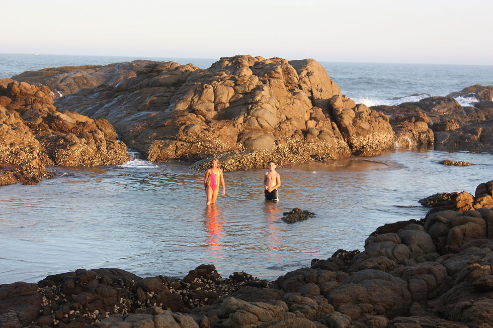 Rock Pools on Drakes Beach
