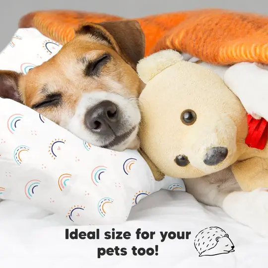 Thumbnail: Toddler Pillow & Pillowcase - Jolly Rainbow