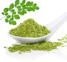 Moringa 2.webp