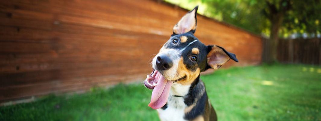istockphoto-467923438-612x612_edited_edi