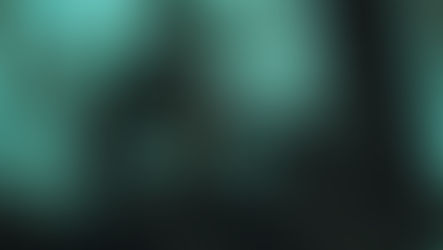 Simple Steps you can Take to Protect Your Business From Cyber Scams