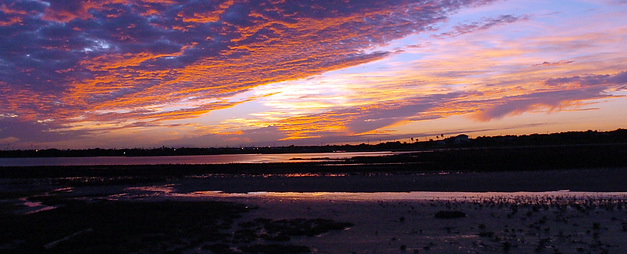 tamucc_horizons.png