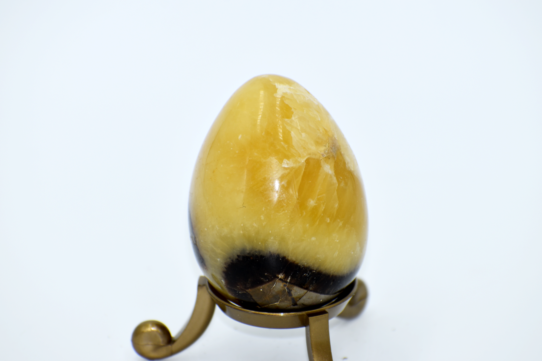 Septarian - Polished and carved Egg on Stand
