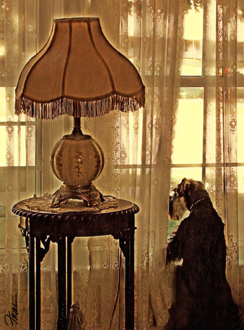 Photo exhibit 42 Optional.jpg