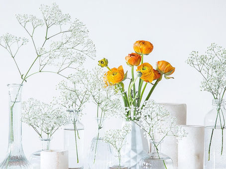 Spring is in the air and love is all around.