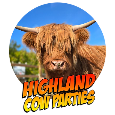 highland cow parties.png
