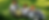 furry friends petting background 2.png