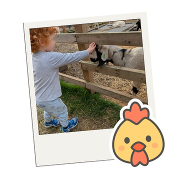 tots on the farm (3).png