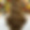 Thumbnail: Chestnut Praline Wig
