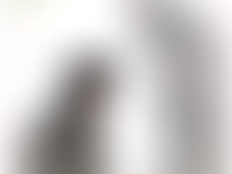 わんわん、ふぉと。