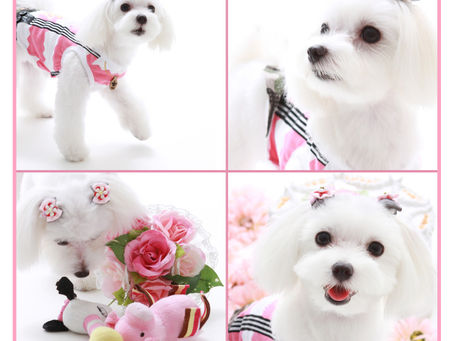 1才　バースディー　