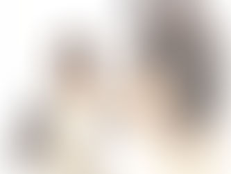 愛犬、コリーのレモンちゃん♪