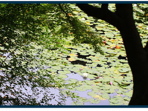 夏のロケーション