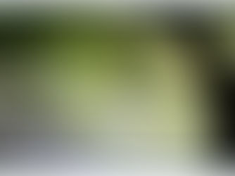 夏のロケーション