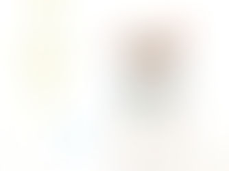 かわいい3歳のチワワ!わんちゃんフォト