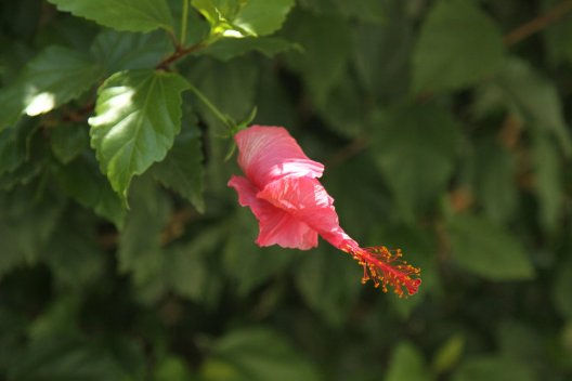 286588_1874476428929_1133401_o