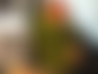 Featuring Pepper, aka, Chicken