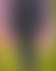 n with ancestors in her hair.