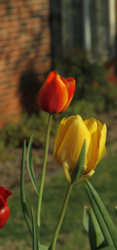 204585_1629173456508_1946124_o