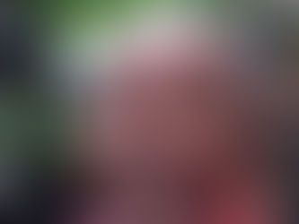 Thanks for Listening: Learning Boundaries