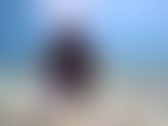 Travel Bean: Hola Mexico