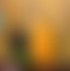 Spirit of the South: Art by Lisa Cain