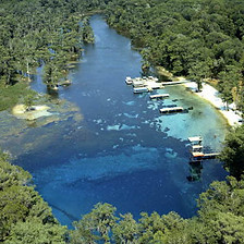 wakulla springs.jpeg