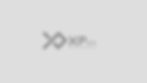 XP ON - Visual Identity-05.jpg