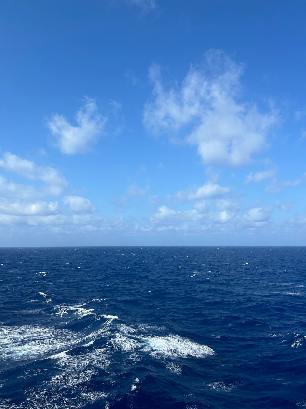 IMG_7740.jpeg
