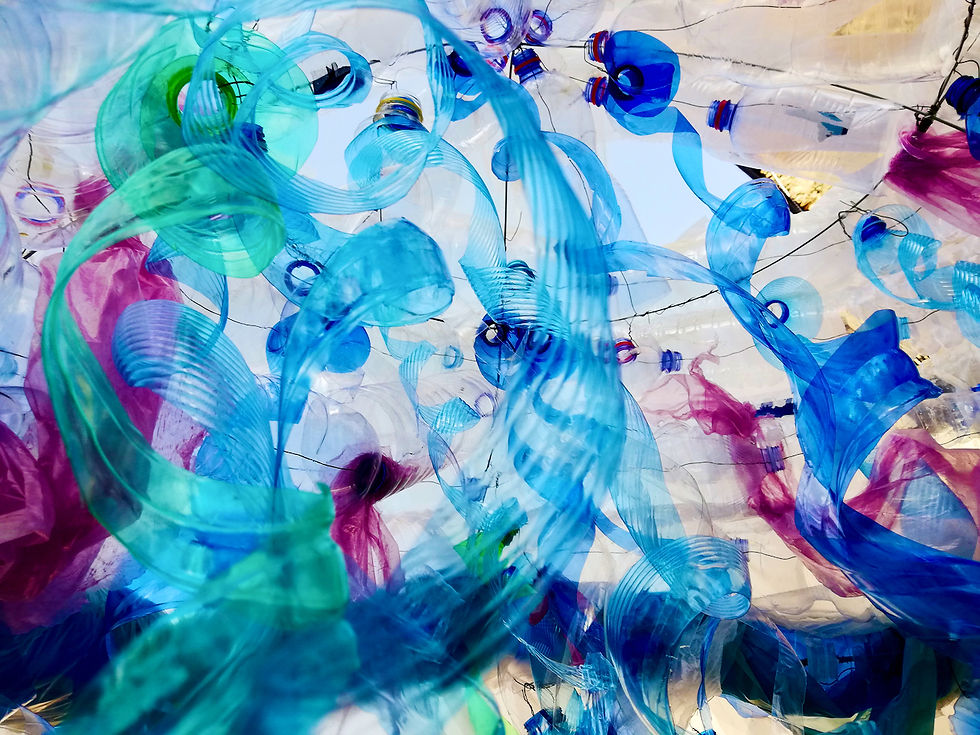 MEDUSA Installazione_by Aurelio Buono Artist_180149
