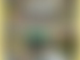 [LL-4選]第19回南足柄市交流大会　4年生大会　2日目