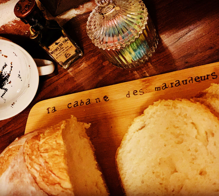 DC5F6833-16F1-4DC4-B8EE-4C6C8DE1F45F copie.JPG