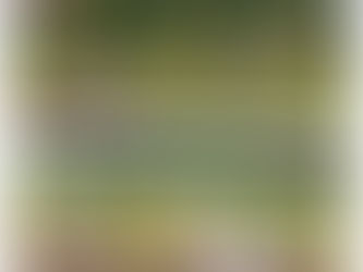 ［U-10A］ESFORCO F.C.交流戦