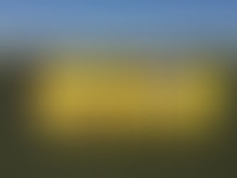 [LL] 2/4 県大会(中央大会)結果