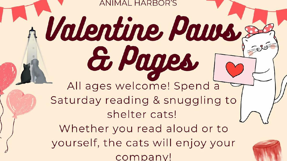 Valentine Paws & Pages
