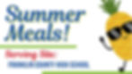 Summer Meals! (For all children and teens 18 and under)